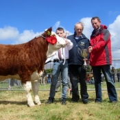 Kingdom County Fair Champion & 3rd Interbreed Champion
