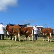 Kingdom County Fair Champions Line-Up