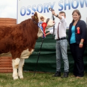 Ossory Reserve Champion \'Mount Eve\'