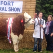 Roundfort Show Champion \'Fearna Devine Vienna\'