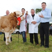 Virginia Club Sept Bull Champion \'Dermotstown Euro Champ\'