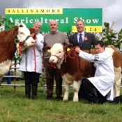 Ballinamore Champion 'Seepa Aster'