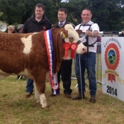 Ballyshannon Champion 'Corbally Eires VIP'