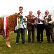 Bandon Overall Interbreed Champion 'Slieveroe Debbie'