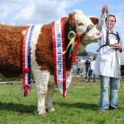 Bonniconlon Champion Fearna Destiny