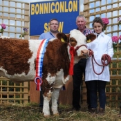 Bonniconlon National Simmental X Maiden Heifer McPadden