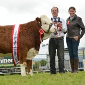 Cappamore Champion 'Raceview Evita Winty'