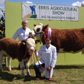 Erris Show Champion 'Seepa Aster'
