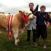 Midleton Overall Champion 'Dripsey Eddie Rocket'