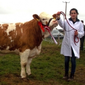 Midleton Reserve Champion 'Clonagh Delightfully Fabulous'