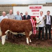 Mullingar Show Interbreed Champion 'Raceview Evita Winty'