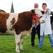 Oldcastle Simmental Champion 'Fohera Emma'