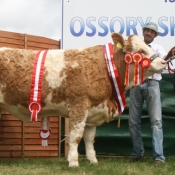 Ossory Show Champion 'Dora The Explorer'
