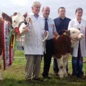 Riverstown Simmental & Interbreed Champion 'Seepa Aster'