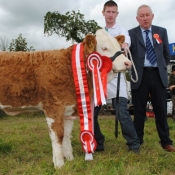 Virginia Overall Champion 'Clonguish Elegant'
