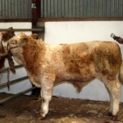 Clipping After