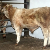 Clipping Before