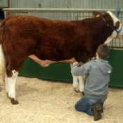 Grooming 5