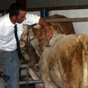 Grooming Demo