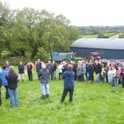 Teagasc Openday on the farm of Joe Brady \'Drumnagar Simmentals\' 9.