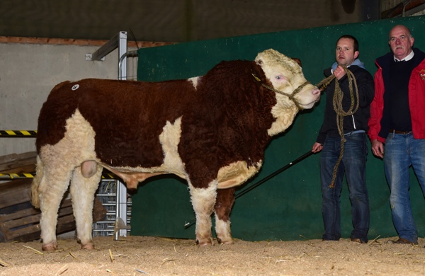 Tullamore 081217 Bearna-Dhearg Homer €3000