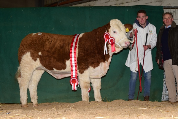 Tullamore 081217 Champion Heifer 'Shiloh Happy Royal' €3000