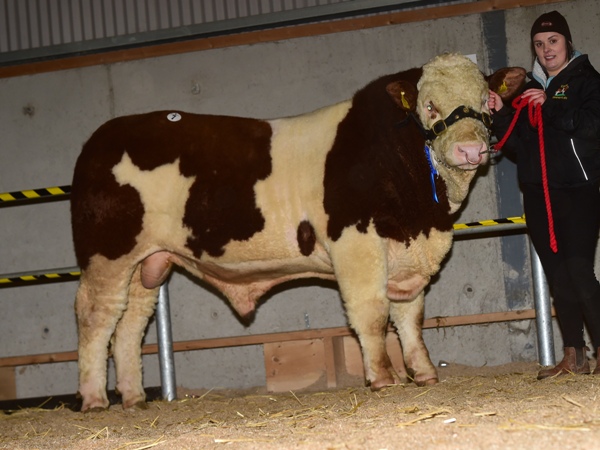 Tullamore 081217 Kilkitt High Star €3000