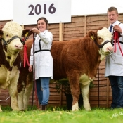 Nat Junior Progeny Pairs Champ Broomfield Ginger Jo Jo & Broomfield Girly Gina