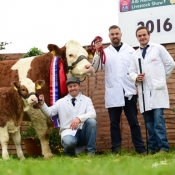 Nat Senior Cow Champ Fearna Destiny