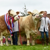 Nat Senior Progeny Pairs Champ Clonagh Dora The Explorer & Clonagh Darling Eyes