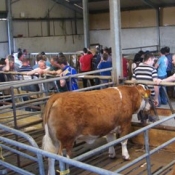 s_acton_openday_021