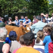 s_acton_openday_031