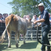 s_acton_openday_036