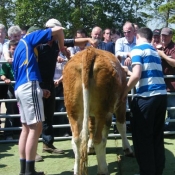 s_acton_openday_039