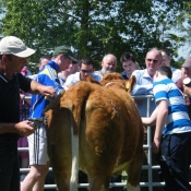 s_acton_openday_040