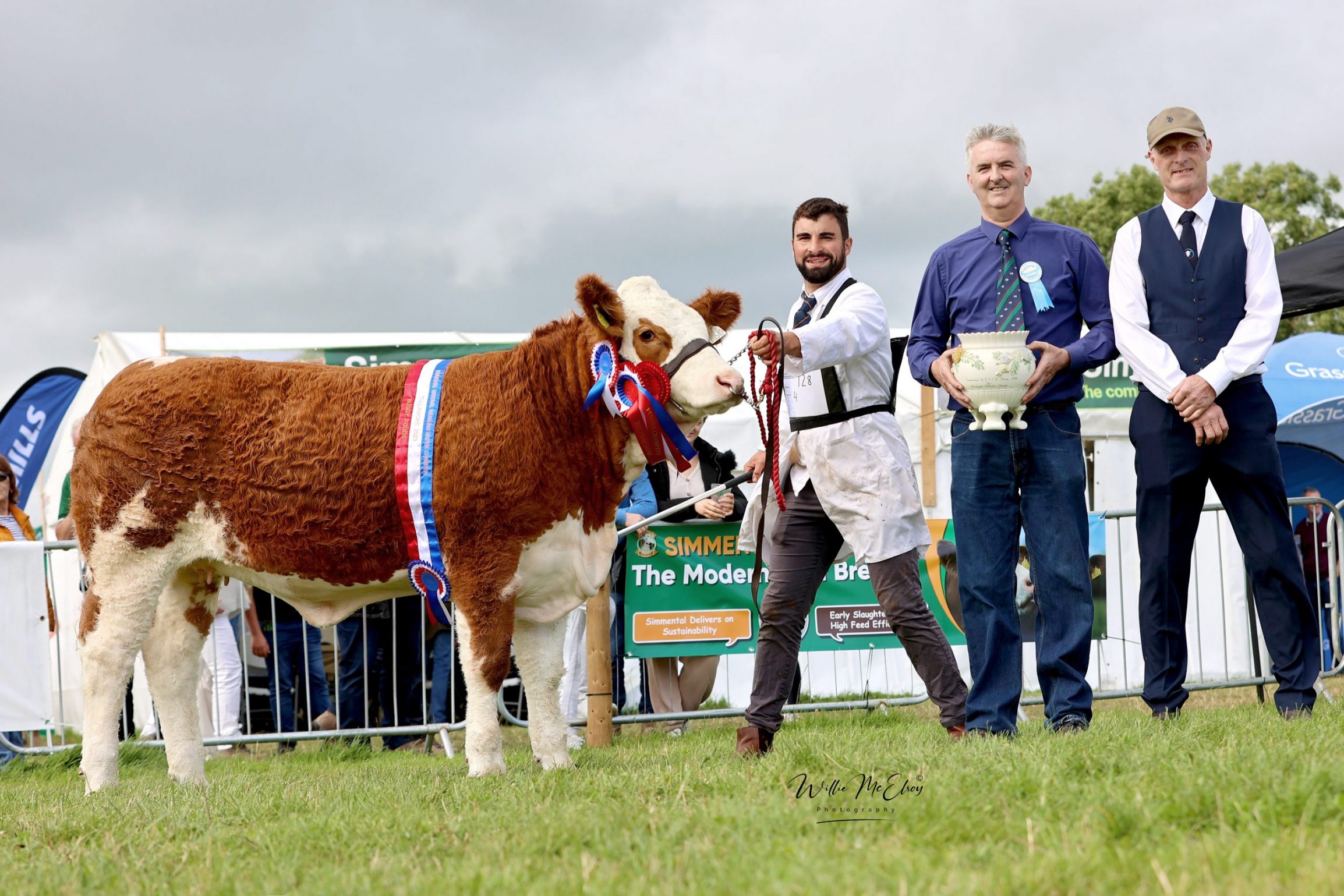 Read more about the article Rathnashan Rules Supreme at Tullamore Show August 2023