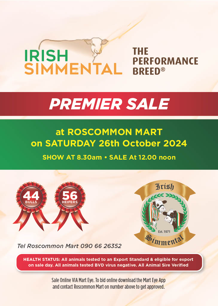 Read more about the article October Premier Show & Sale  Catalogue, Photos & Videos for Sat 26th Oct 2024