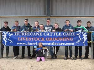 South Eastern Club YISA workshop held recently at Tullamore Mart