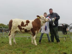 Kingdom_Co_Fair_Res_Champ_Mount_Felicity