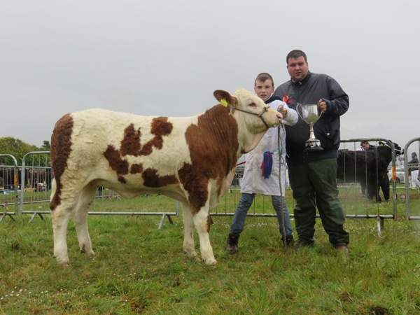 Kingdom_Co_Fair_Res_Champ_Mount_Felicity