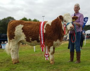 Ballygarvan-2017-Champ-Dripsey-Honey-Heart.jpg