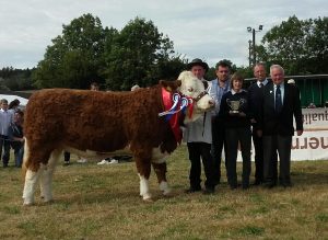 Ballygarvan-Overall-Interbreed-Champ-Raceview-Faustina-Wynty.jpg