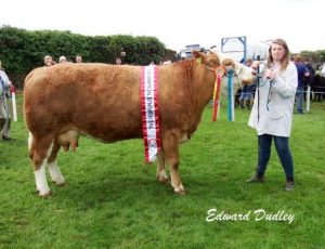 Bandon16-Overall-Champ_Clonagh-Willow.jpg