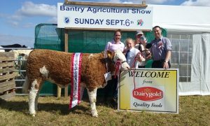 Bantry15-OverallChampSthSimClub-SnrHeiferCalfChamp-Seaview-Gabby.jpg