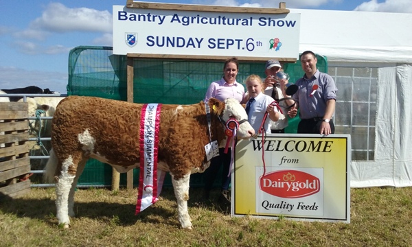 Bantry15-OverallChampSthSimClub-SnrHeiferCalfChamp-Seaview-Gabby.jpg