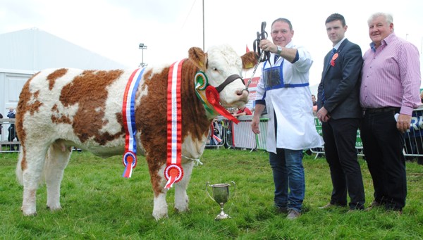 Bonniconlon-Champ-Tawley-Gretta.jpg