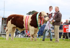 Cappamore-2017-Champ-Sim-Club-Champ-Champ-Yearling-Bull-Mount-Hawkeye.jpg