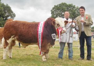 Charleville15-Male-Champ-Dripsey-Frankie.jpg