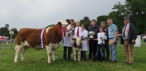 Co-Louth-Champ_Interbreed_Champ-Kilbride-Farm-Eunice-168E.jpg