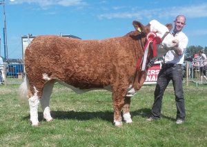 Cork-2017-Champ-Sim-3rd-Beef-Interbreed-Champ-Corbally-Goddess-Vintage-Katie.jpg